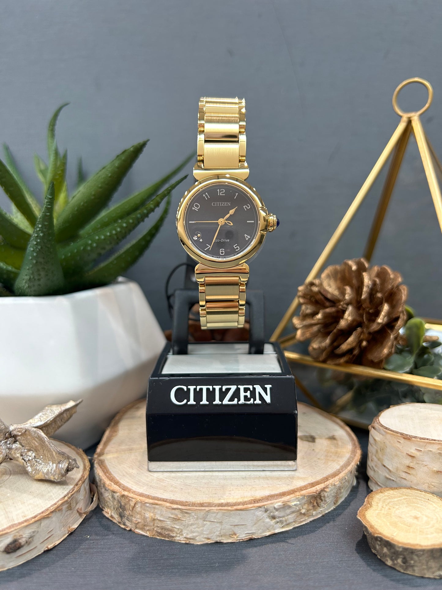 Women's Citizen Eco Drive Accented Dial Watch with Metal Band