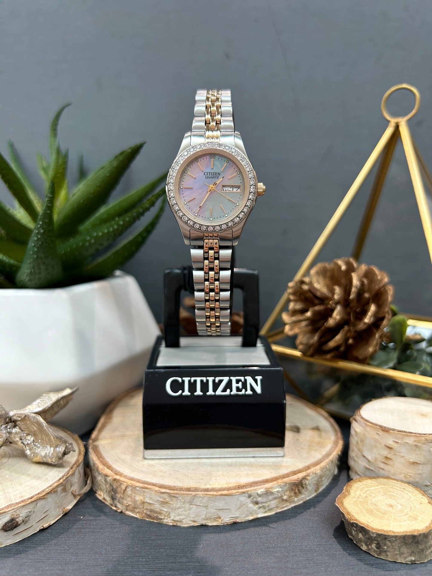 Women's Citizen Eco Drive 2 Tone Mother of Pearl Watch with Metal Band