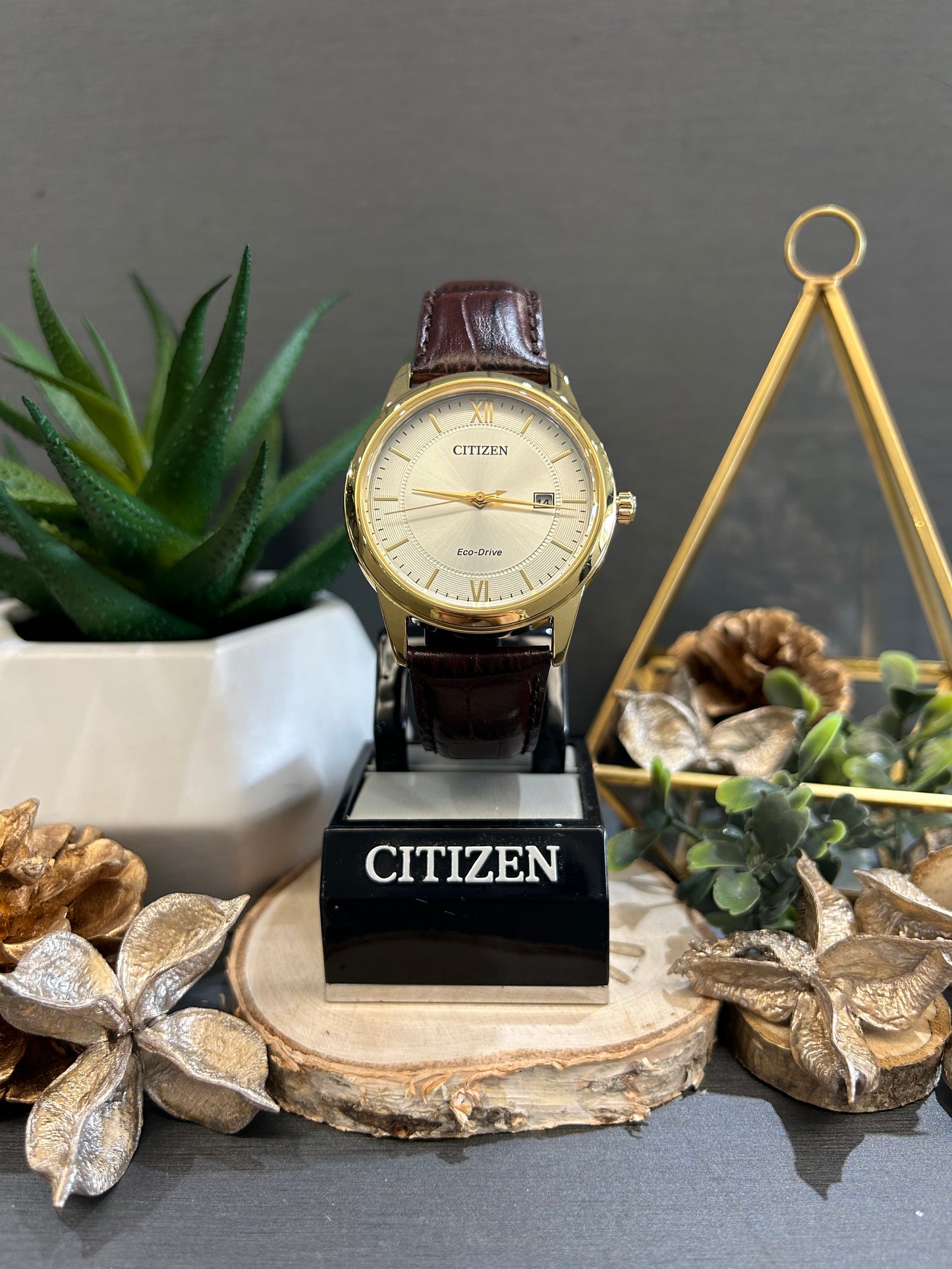 Men's Citizen Eco Drive Gold Watch Dial with Leather Band