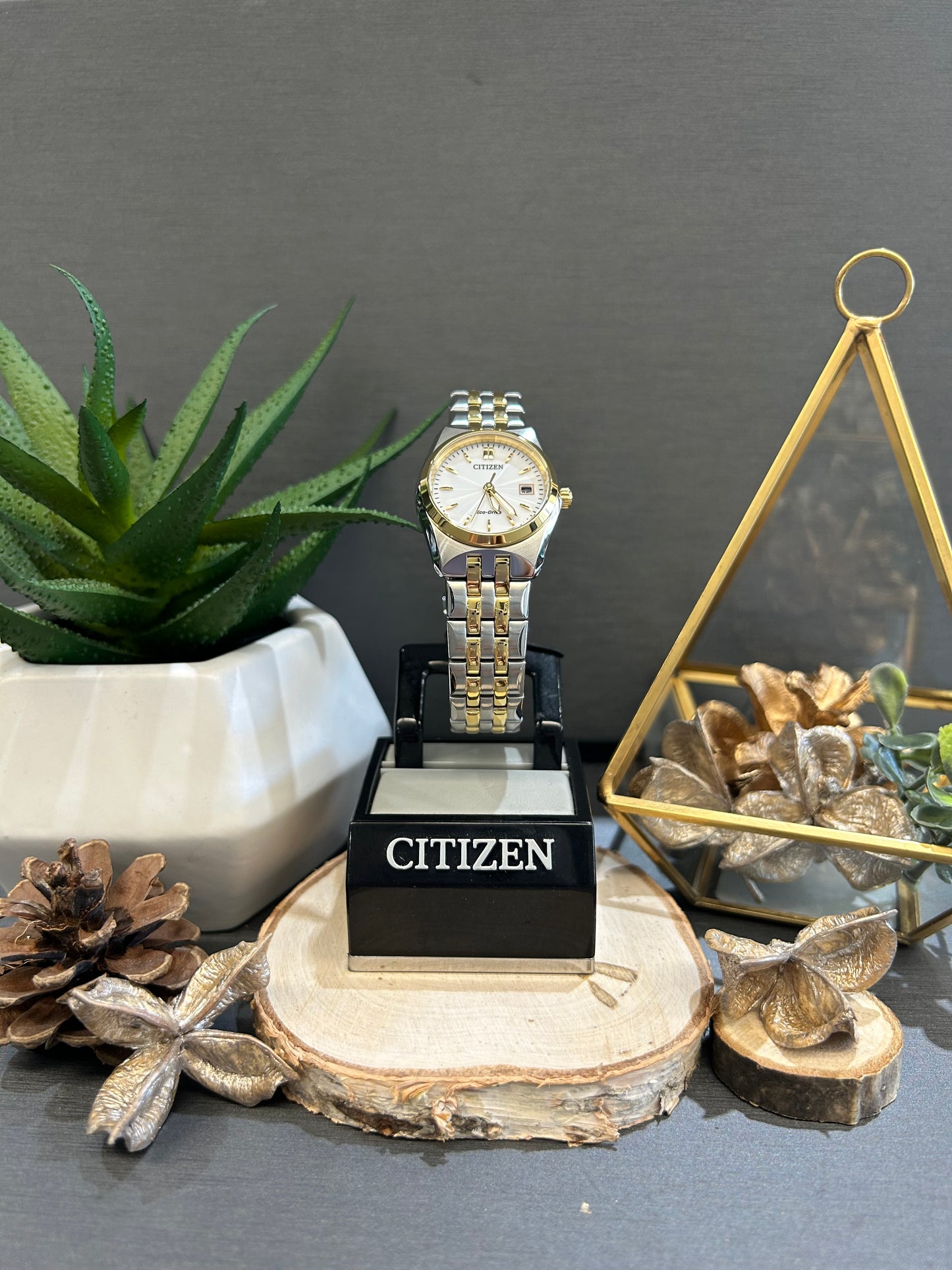 Women's Citizen Eco Drive Two-Tone White Face Watch with Metal Band