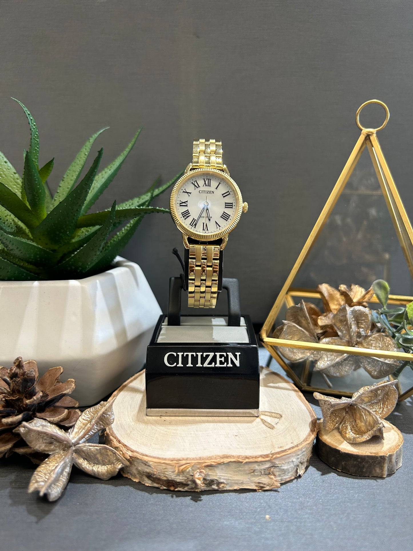 Women's Citizen Eco Drive Roman Numeral Watch with Metal Band