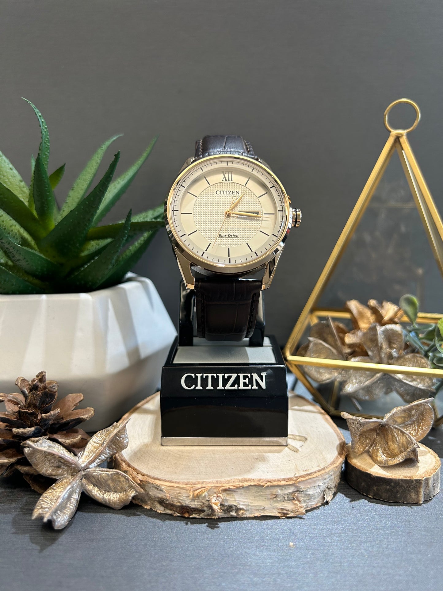 Men's Citizen Eco Drive Ivory Copper Watch with Brown Leather Band
