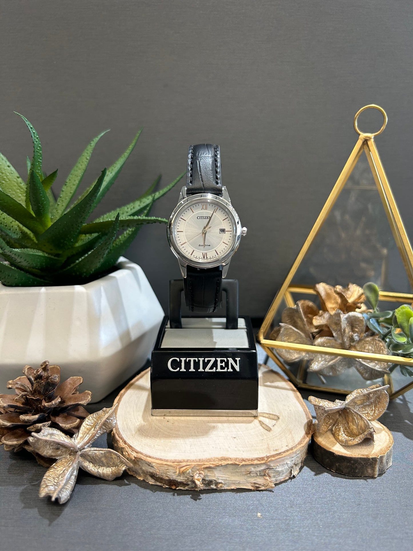Women's Citizen Eco Drive White Watch Face with Leather Band
