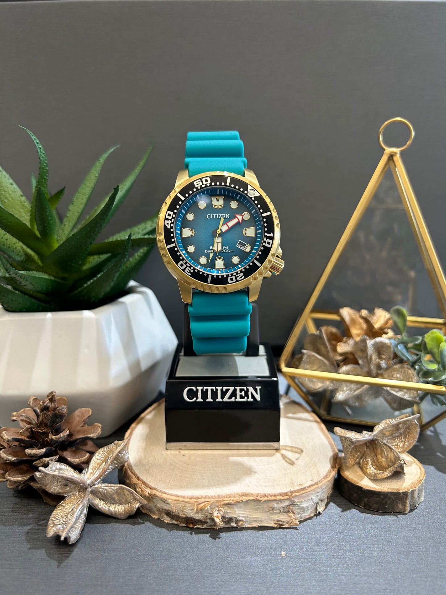 Unisex Citizen Eco Drive 200m Dive Watch with Rubber Band