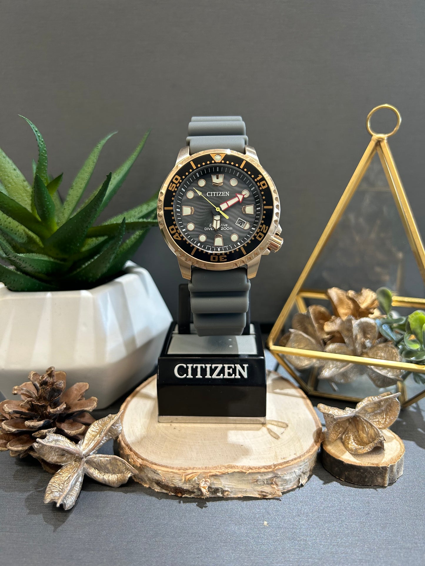 Unisex Citizen Eco Drive 200m Dive Watch with Rubber Band