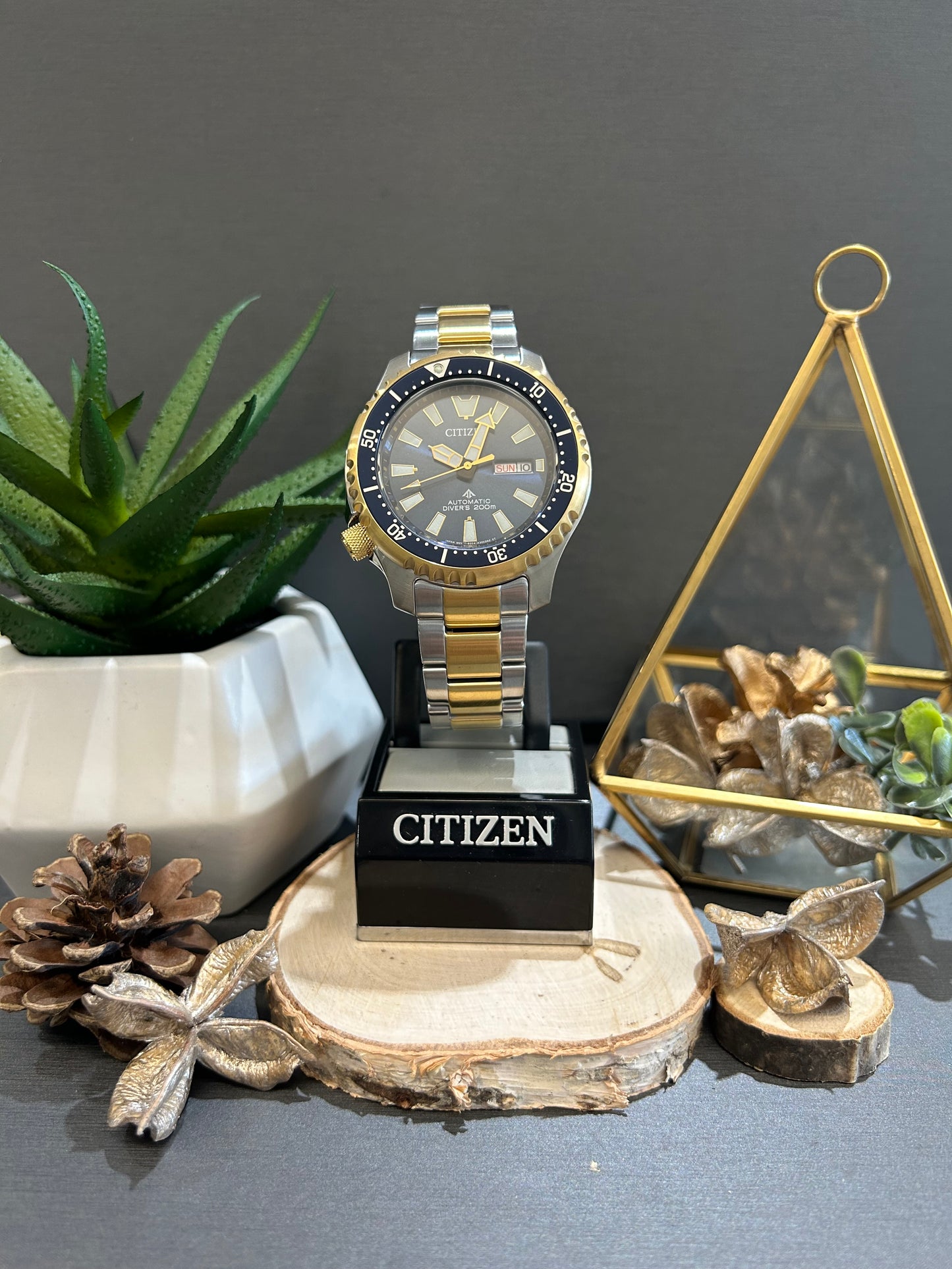 Men's Citizen Automatic 200m Dive Watch with Metal Band