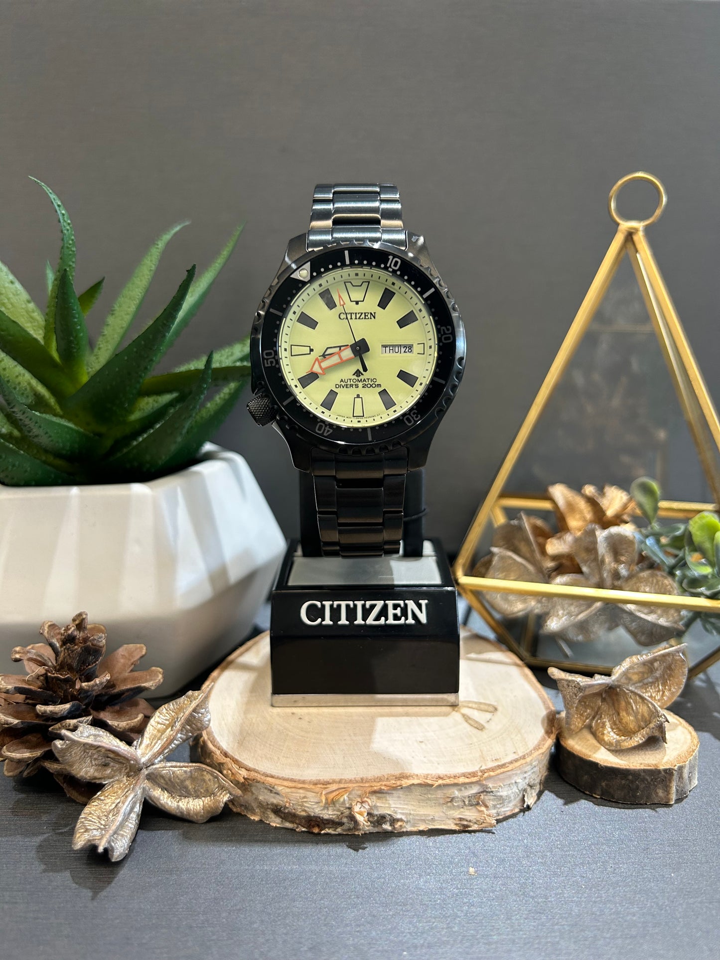 Men's Citizen Automatic 200m Dive Watch with Metal Band