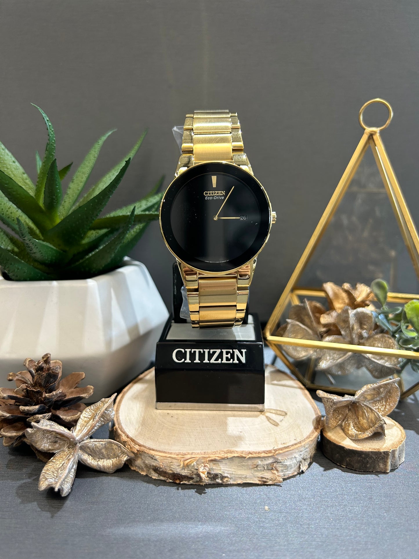 Men's Citizen Eco Drive All Black Watch Face with Metal Band