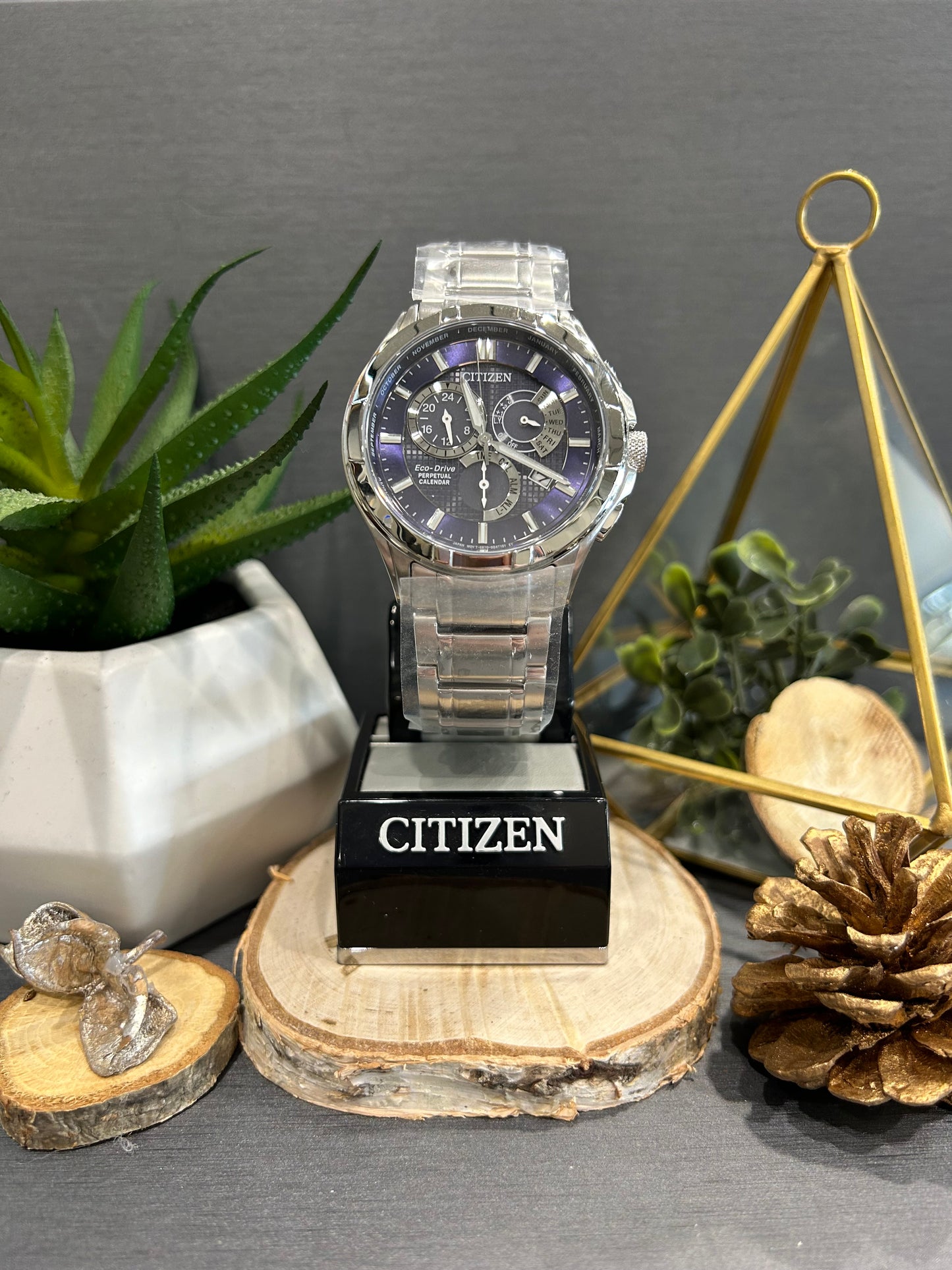 Men's Citizen Eco Drive Perpetual Calendar Watch Face with Metal Band