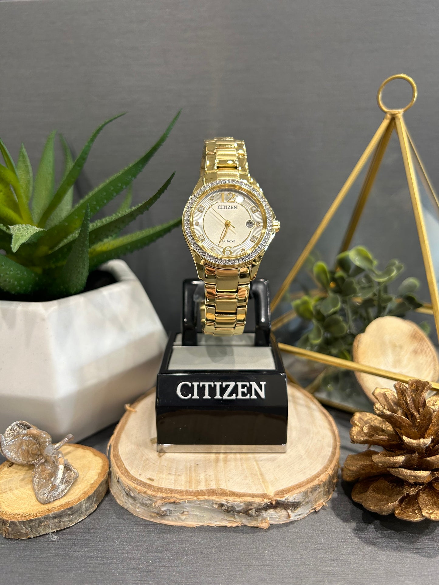 Women's Citizen Eco Drive Crystal Accent Watch Face with Metal Band