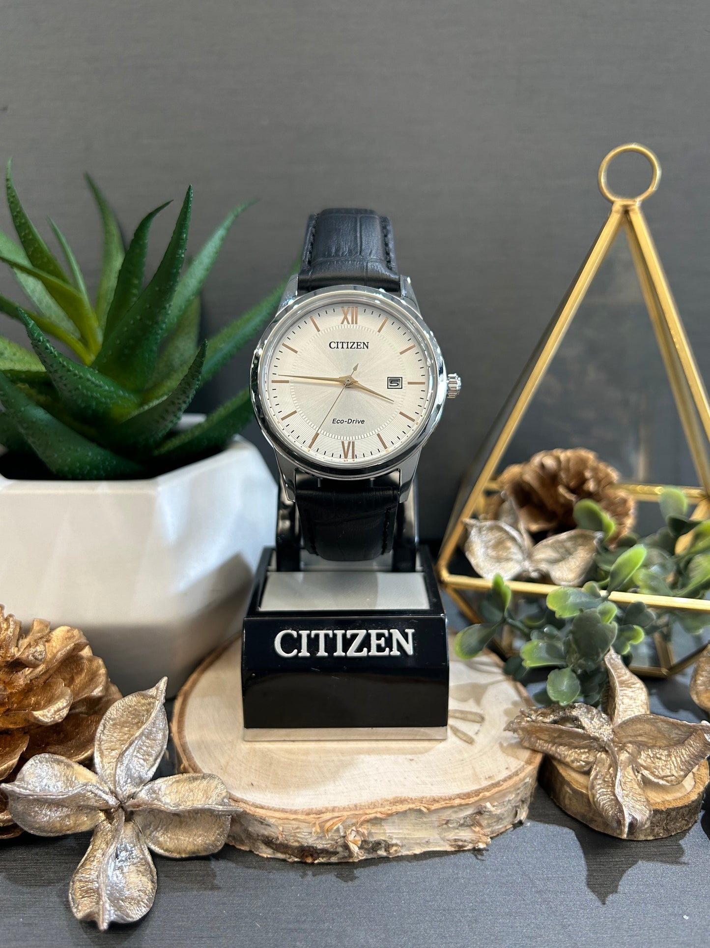 Men's Citizen Eco-Drive White Face with Leather Band