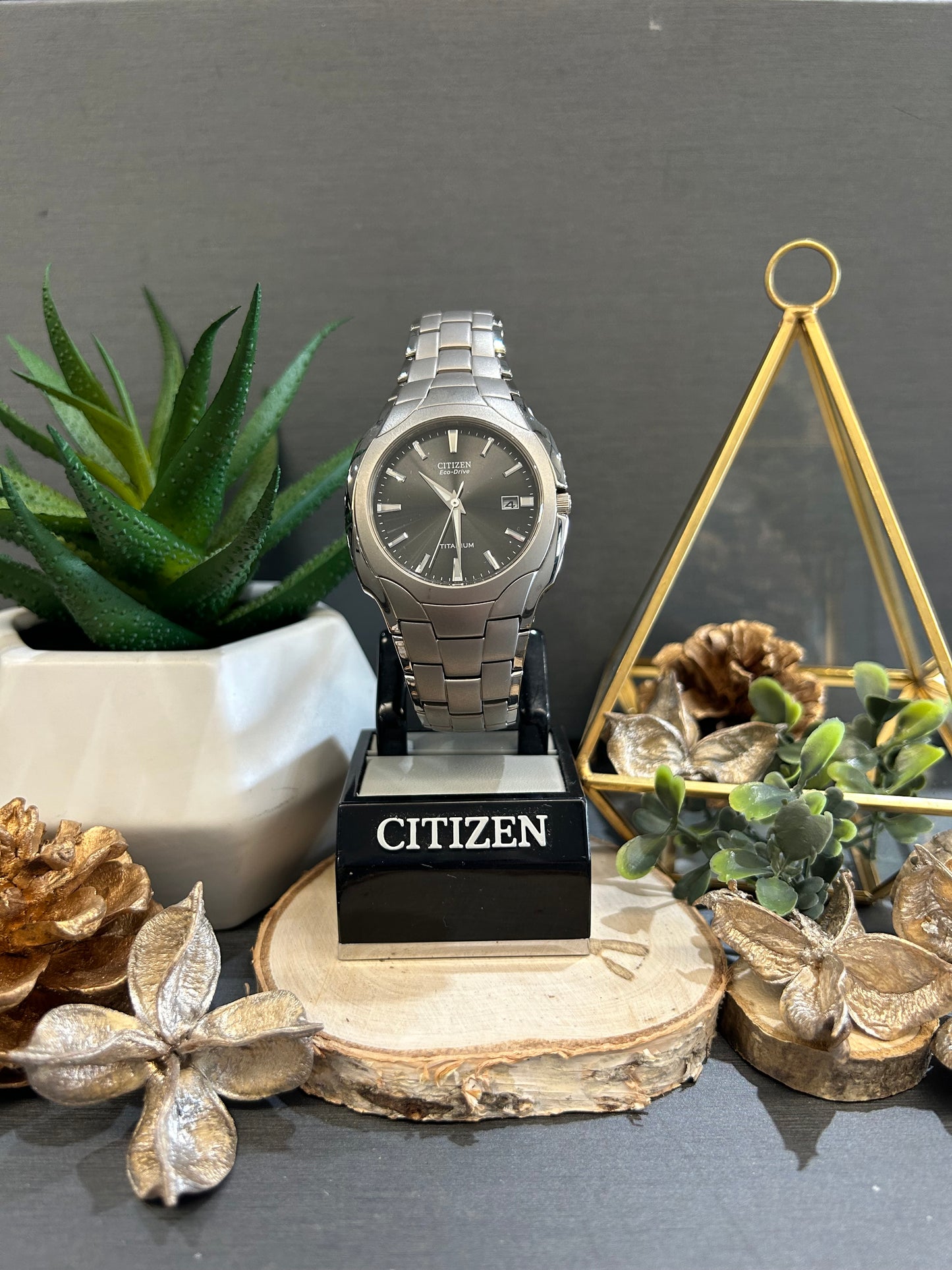 Men's Citizen Eco-Drive Titanium Dial and Band