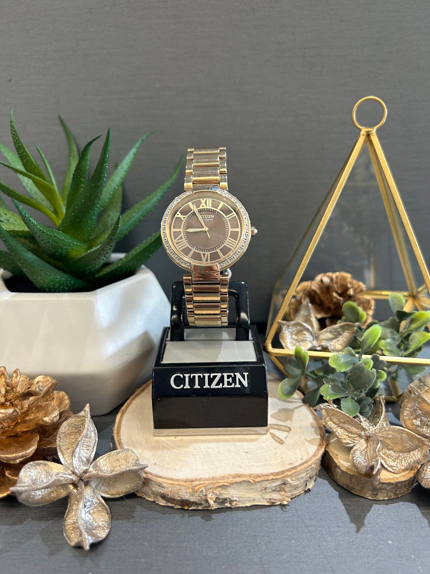 Women's Citizen Eco-Drive Gold Tone Brown Watch Face with Metal Band