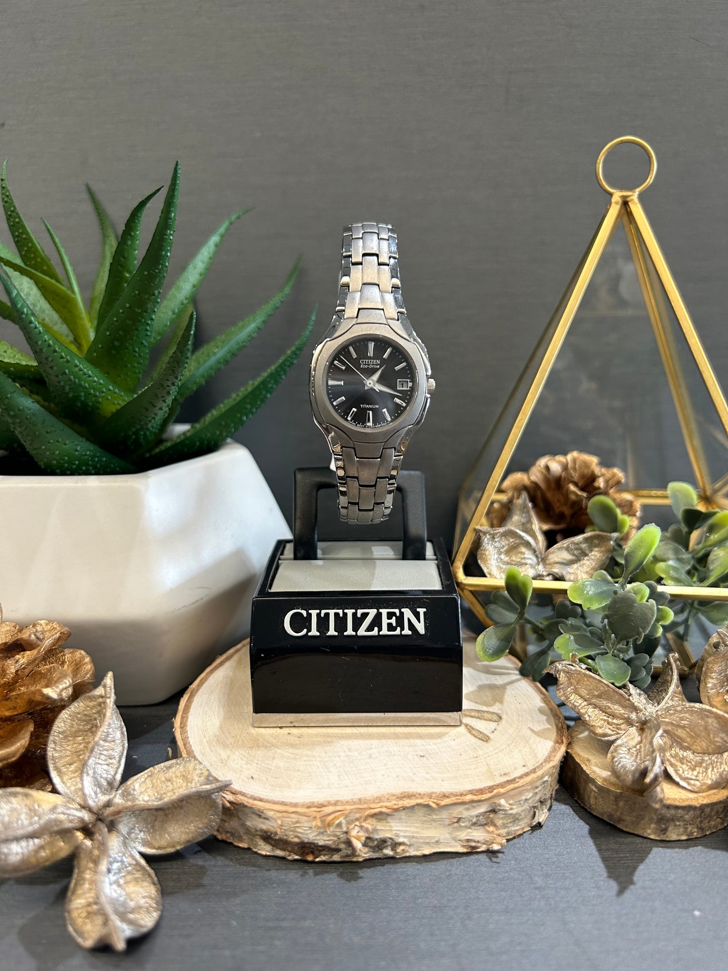 Women's Citizen Eco-Drive Titanium Dial and Band