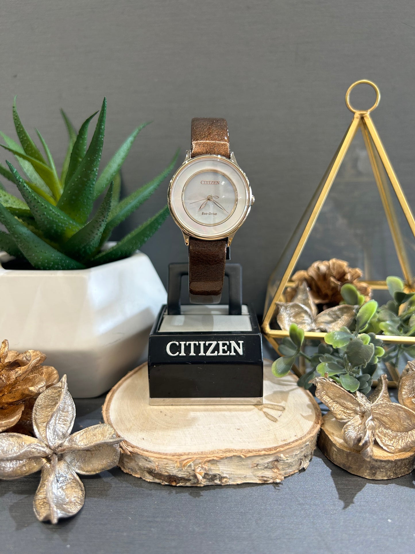Women's Citizen Eco-Drive Gold Tone Watch with Brown Leather Band