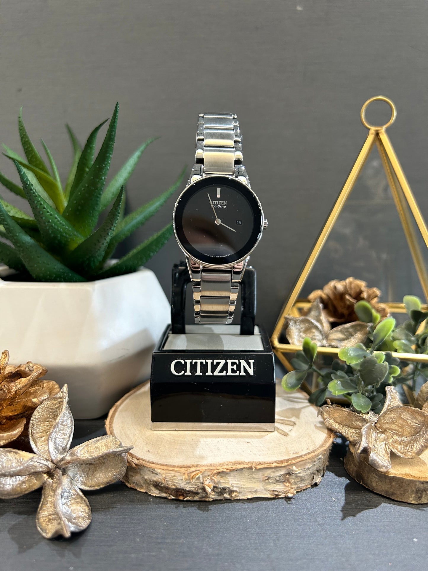 Women's Citizen Eco-Drive All Black Watch Face with Metal Band