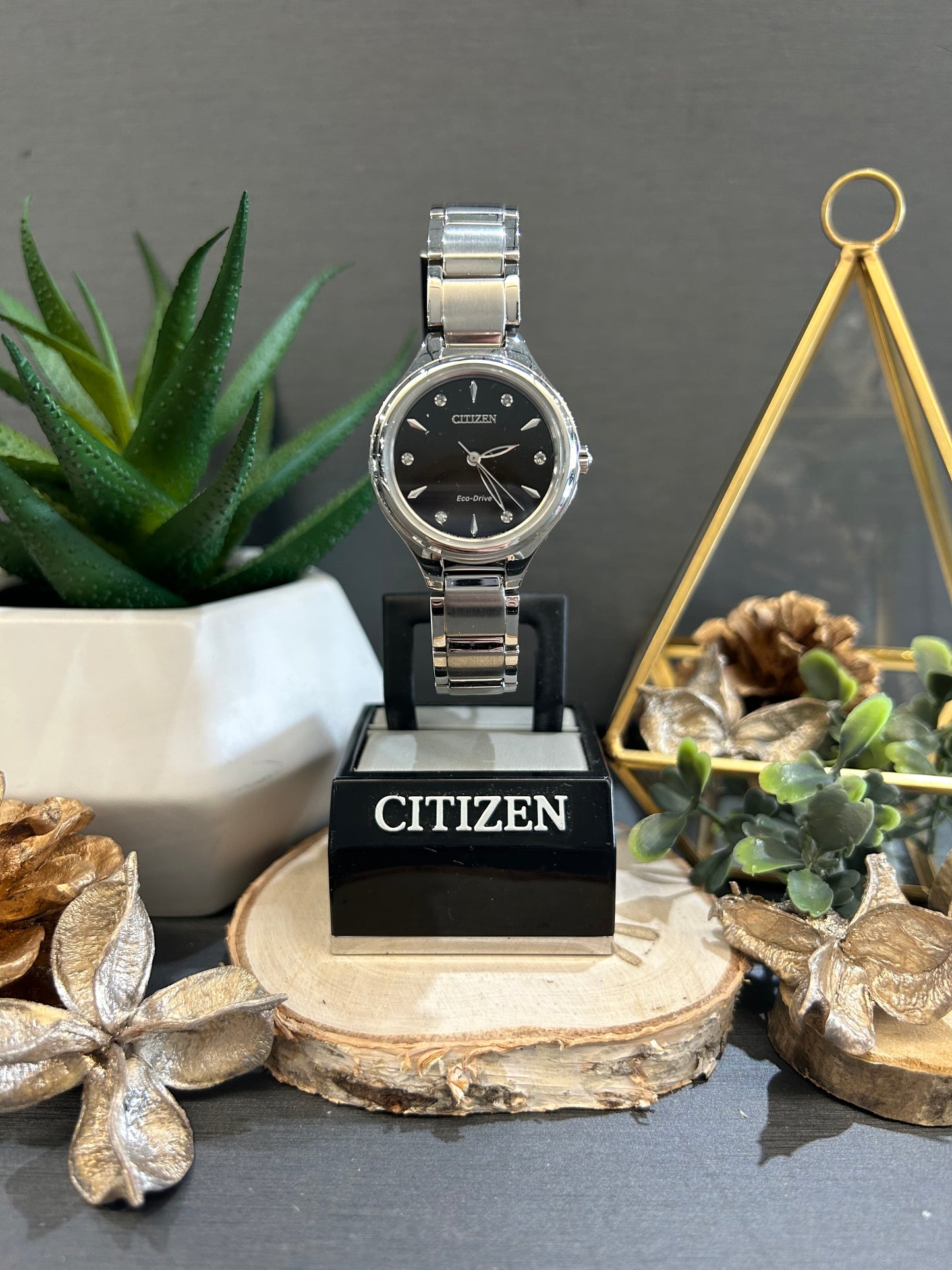 Women's Citizen Eco-Drive Black Watch Face and Diamond Dials with Metal Band