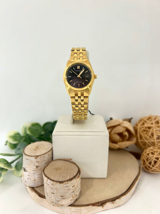 Women's Citizen Eco Drive Small Face Watch with Metal Band