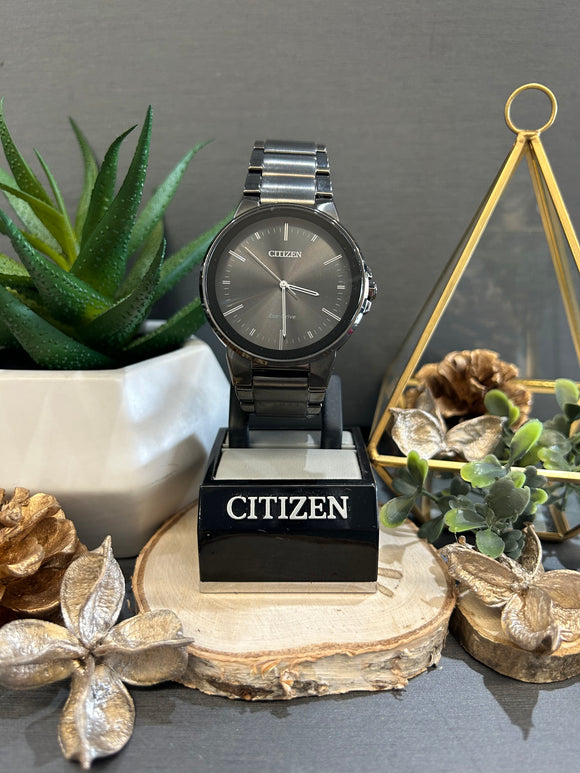 Citizen eco drive online metal band